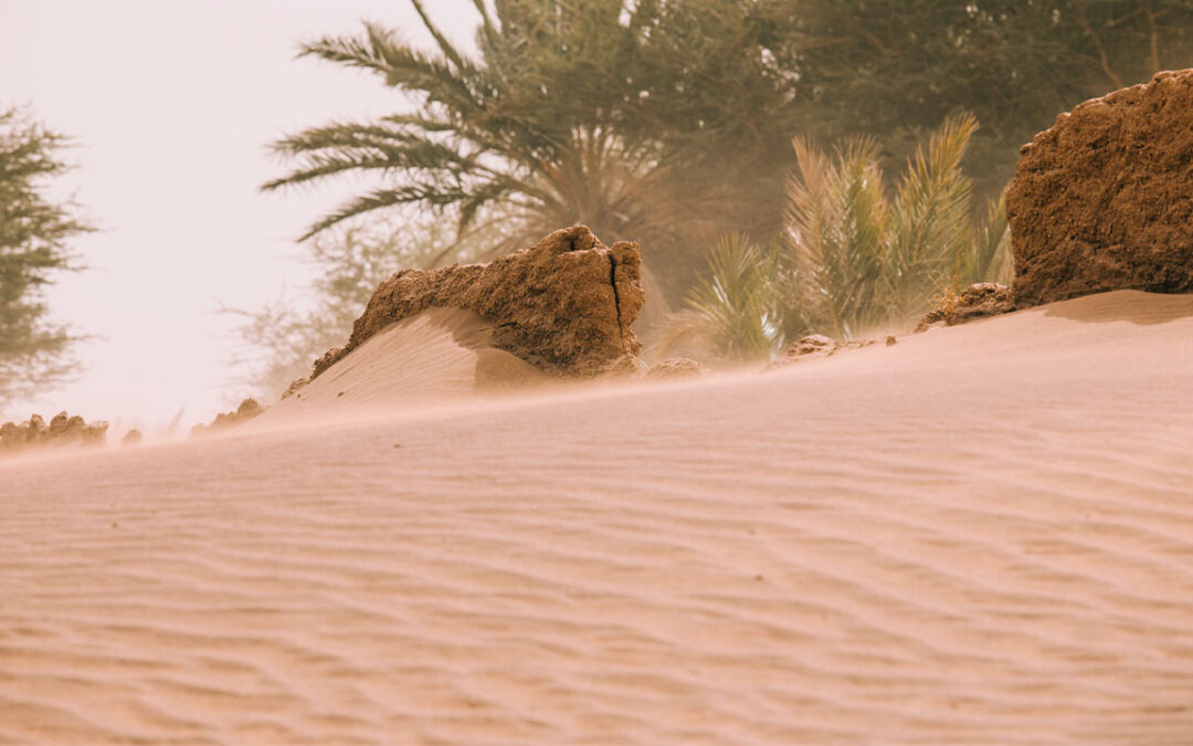 Journey to Serenity: Exploring Earth&rsquo;s Oasis Retreats